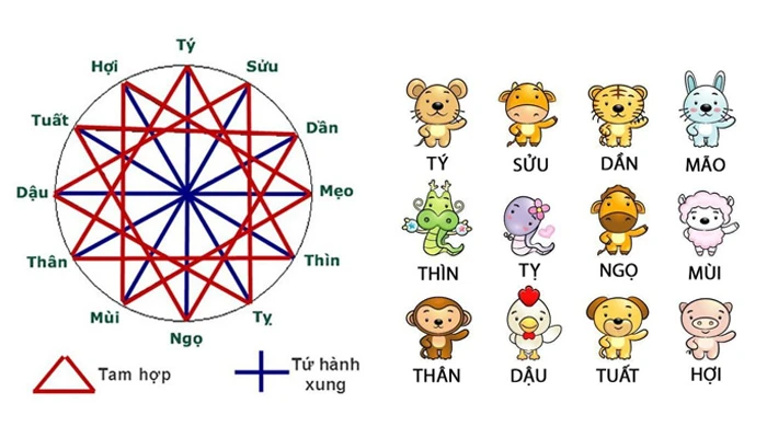 cách xem tam hợp