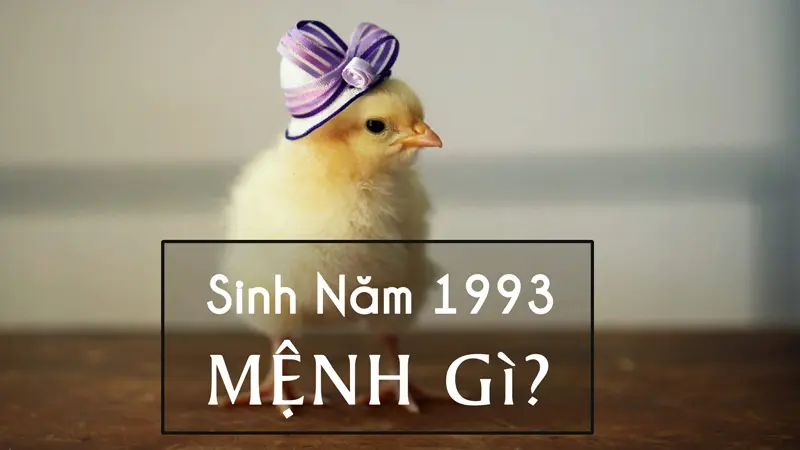 Kết quả hình ảnh cho sinh năm 1993 tuổi con gì