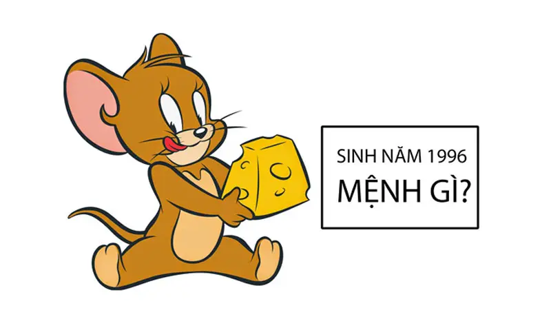 Người sinh năm 1996 mệnh gì?