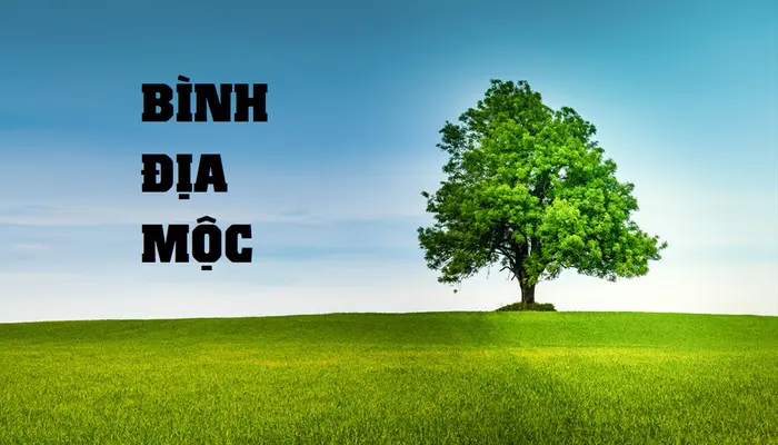 Tính cách đặc trưng của người có nạp âm Bình Địa Mộc là gì?